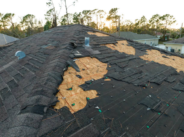 Best Storm Damage Roof Repair  in Carey, ID