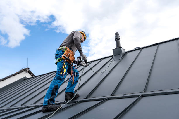 Best Asphalt Shingle Roofing  in Carey, ID