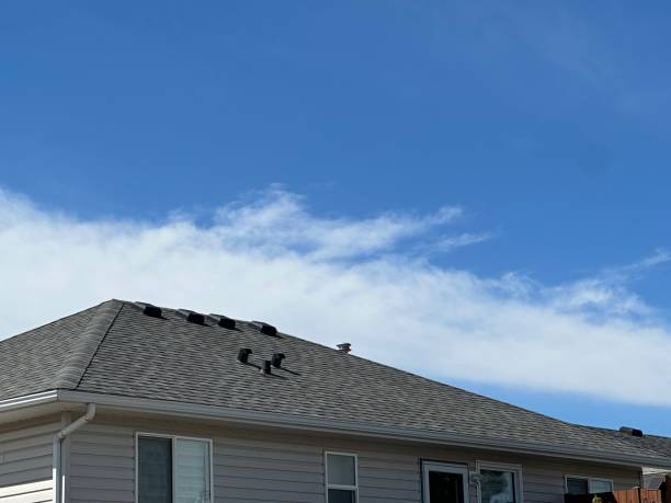 Professional Roofing service in Carey, ID